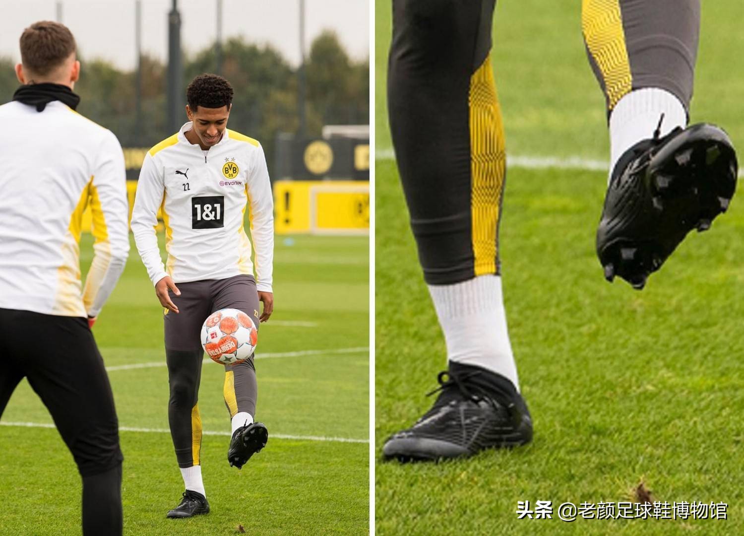 球迷们欢呼 球迷们欢呼