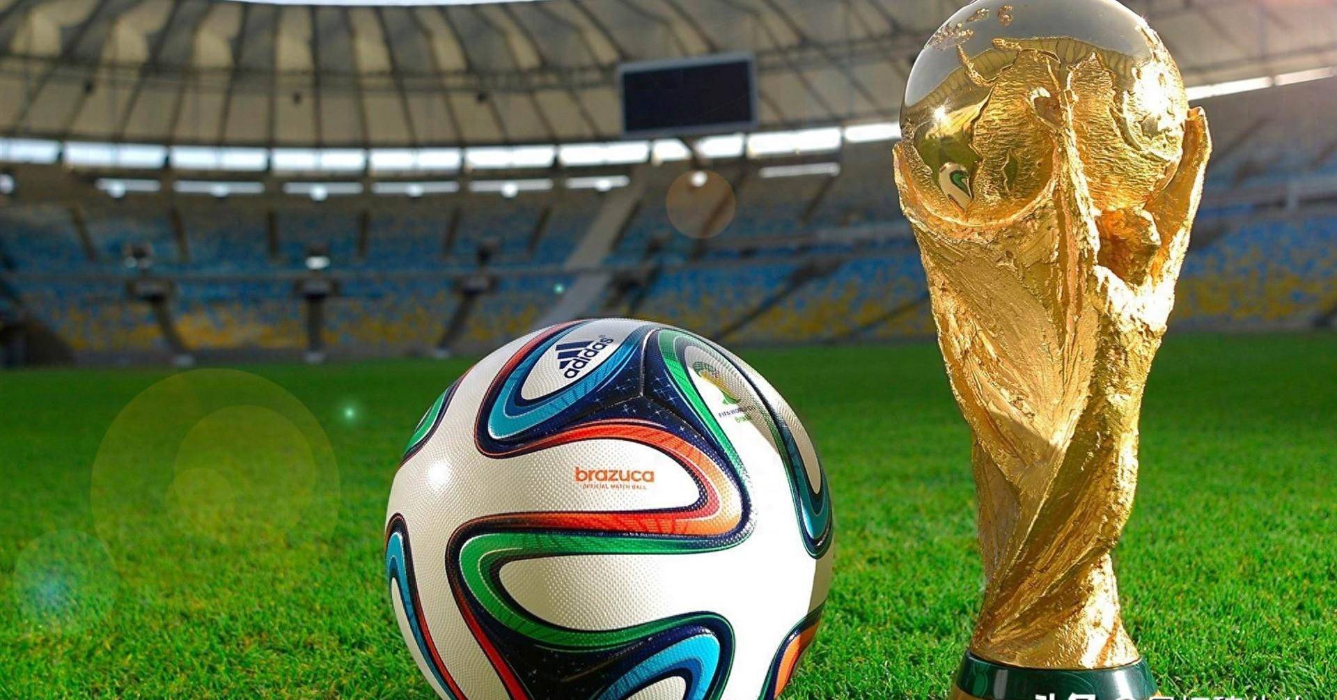 入库与微调 入库与微调